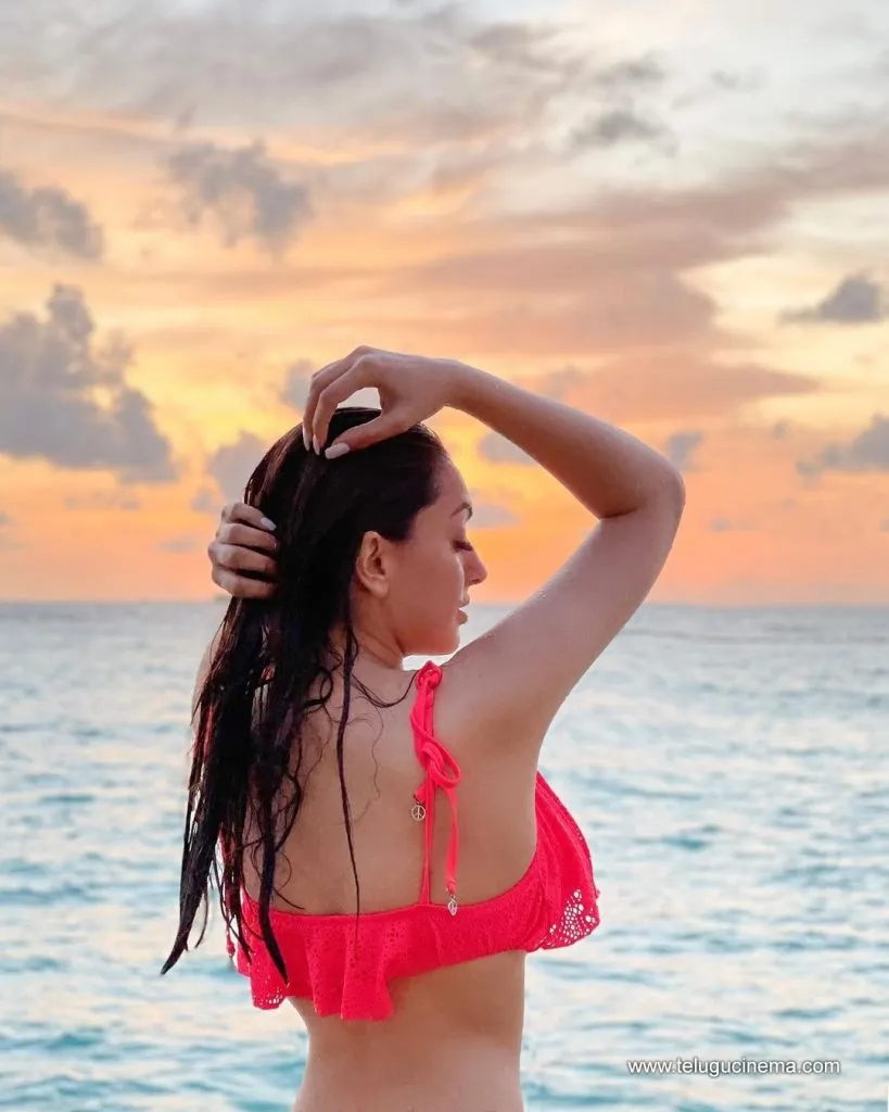 Hansika Stills 28102100001