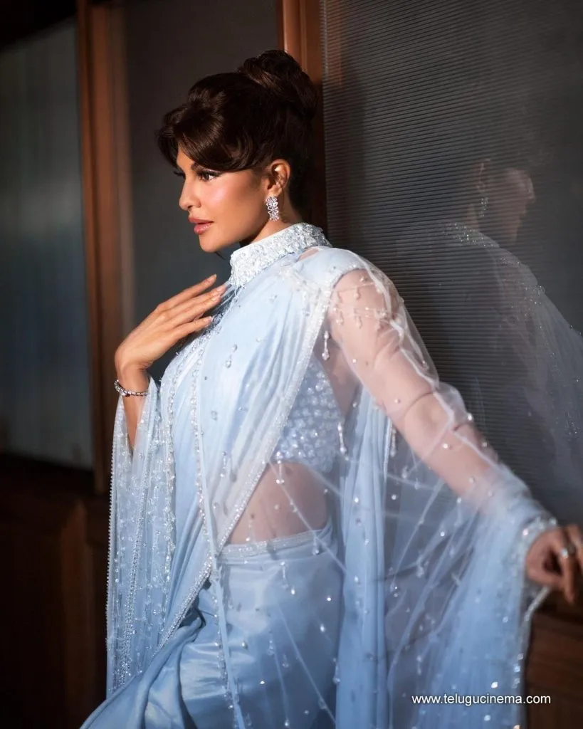 Jacqueline Stills 12102100002 1
