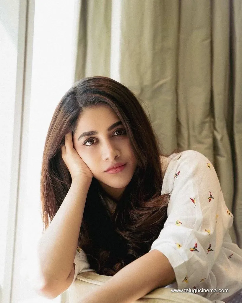 Nabhanatesh Stills 05102100001
