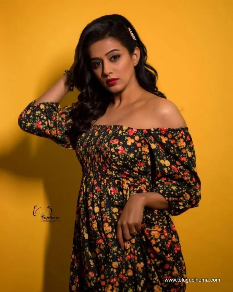 Priyamni Stills 27102100006