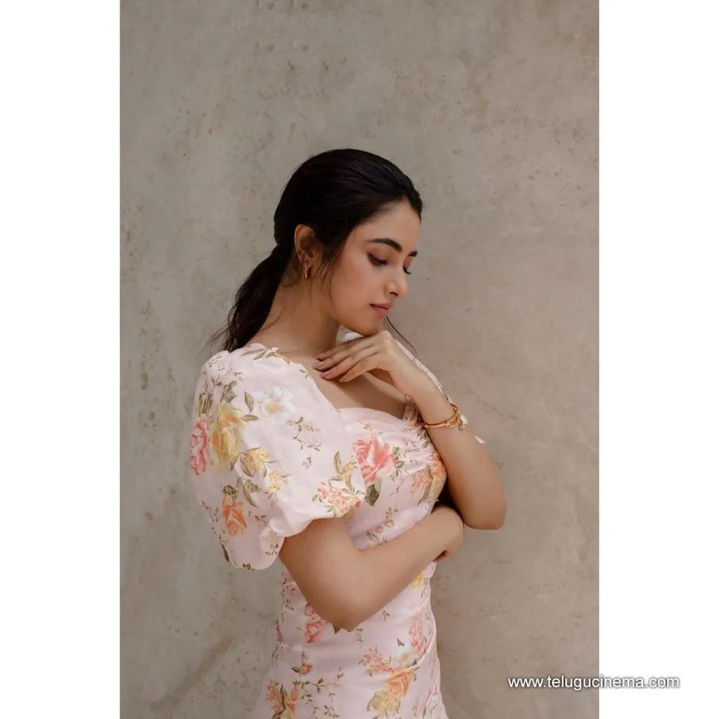 Priyanka Stills 02102100004