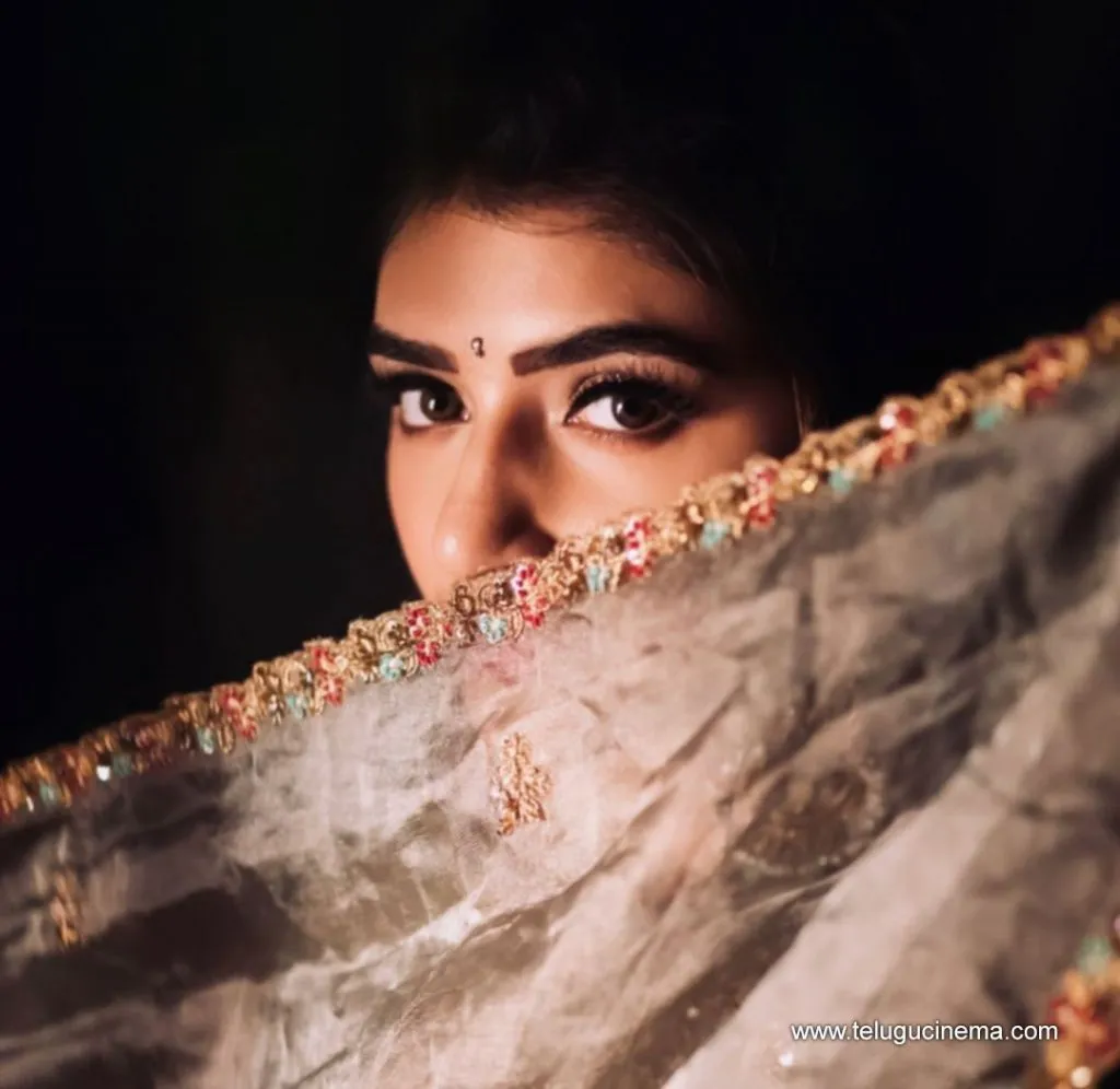 Sreeleela Stills 25102100001