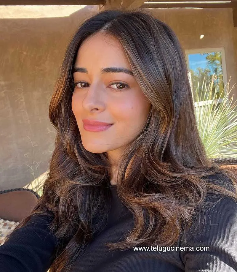 Ananyapanday Stills 191121 001