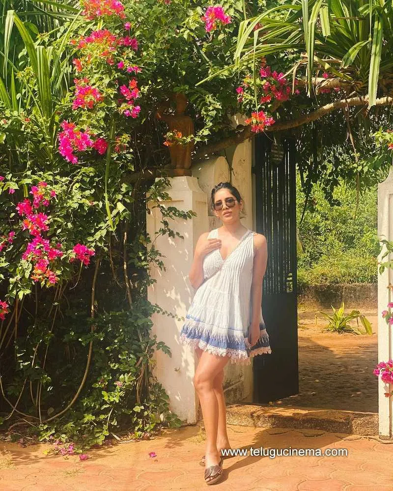 Nabhanatehs Stills 131121 001