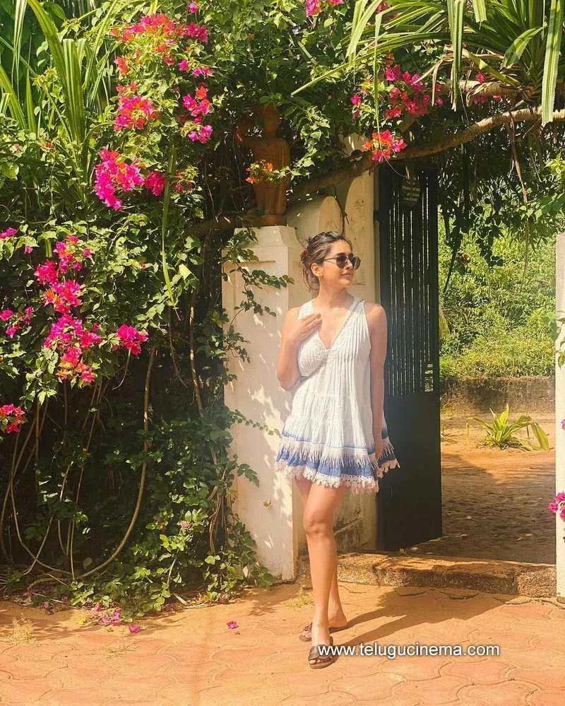 Nabhanatehs Stills 131121 003