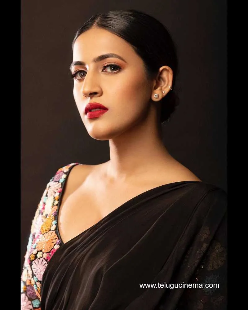 Niharika Stills 171121 001
