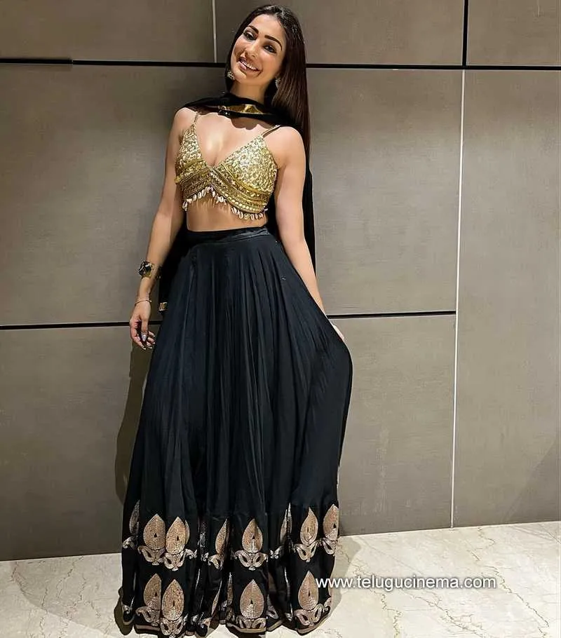 Raailaxmi Stills 091121 002