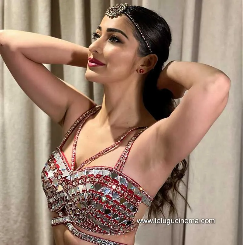 Raailaxmi Stills 161121 009