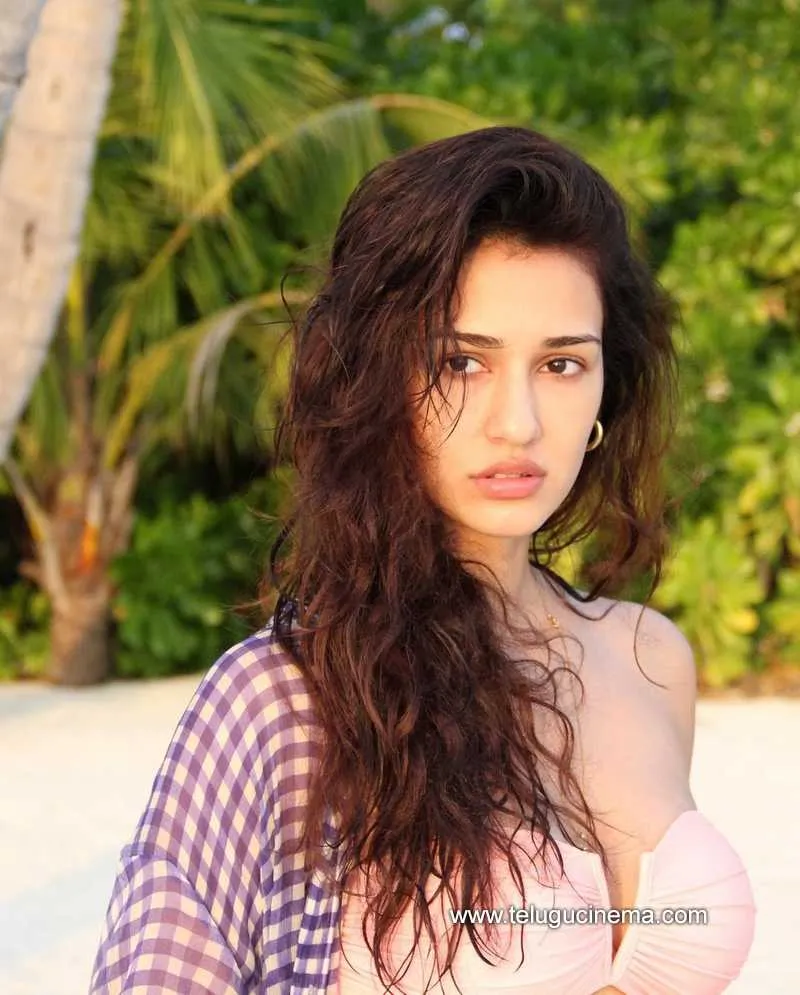 Disha Stills 301221 002