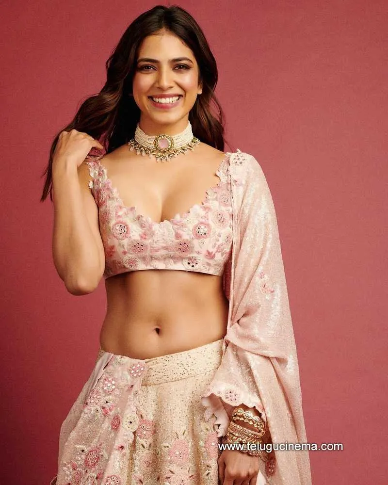 Malavika Stills 161221 004