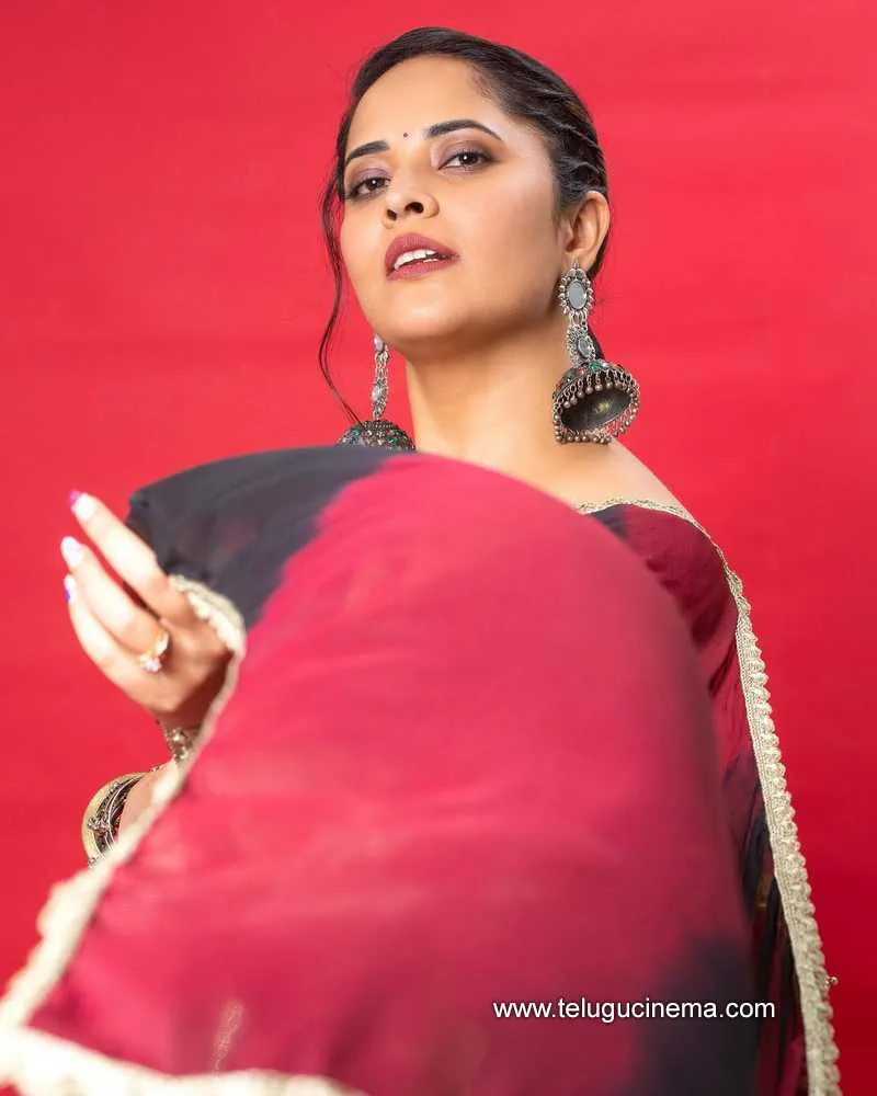 Anasuya Stills 200122 006