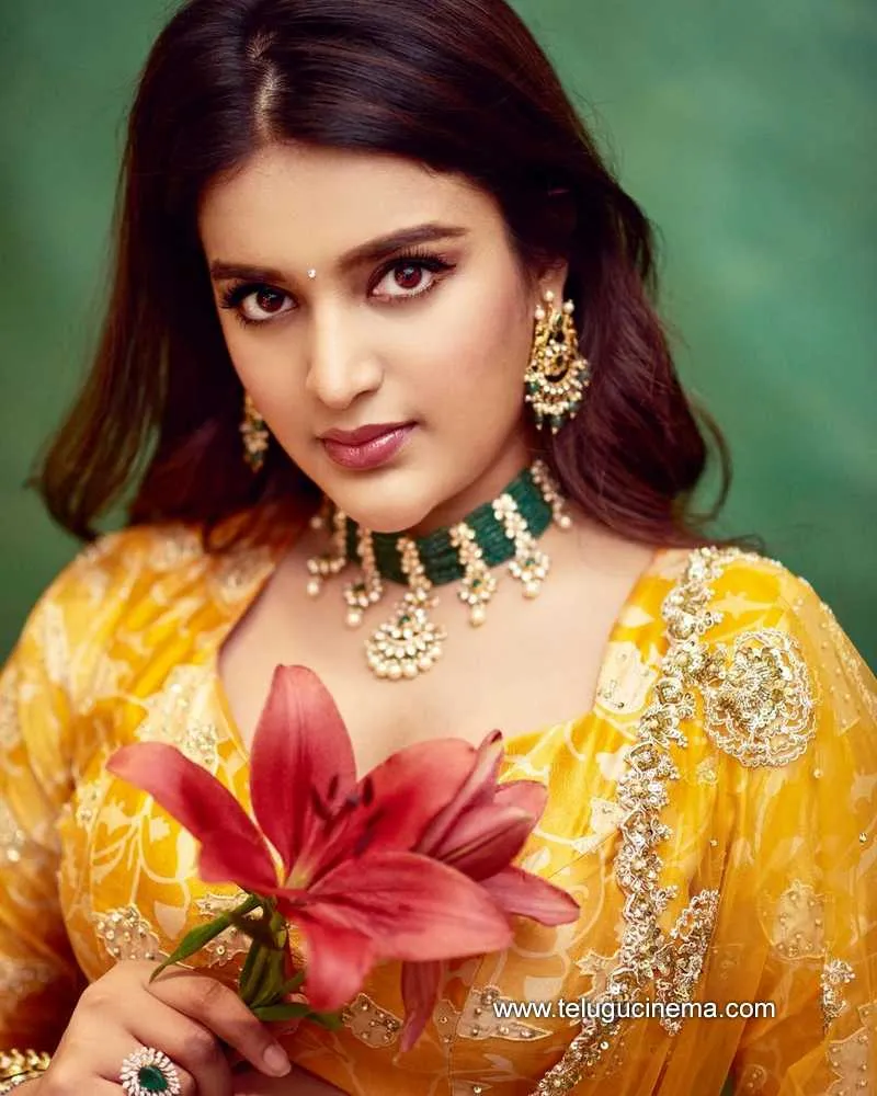 Nidhhi Stills 180122 003