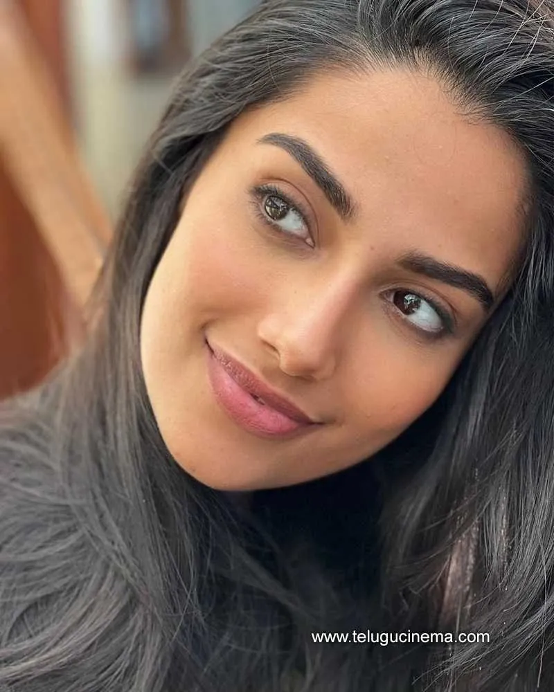 Meenakshi Stills 180222 005