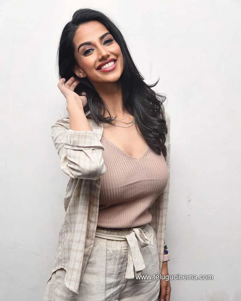 Meenakshichoudary Stills 100222 002