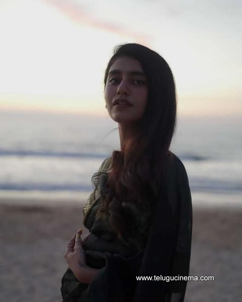 Priyavarriear Stills 010222 002