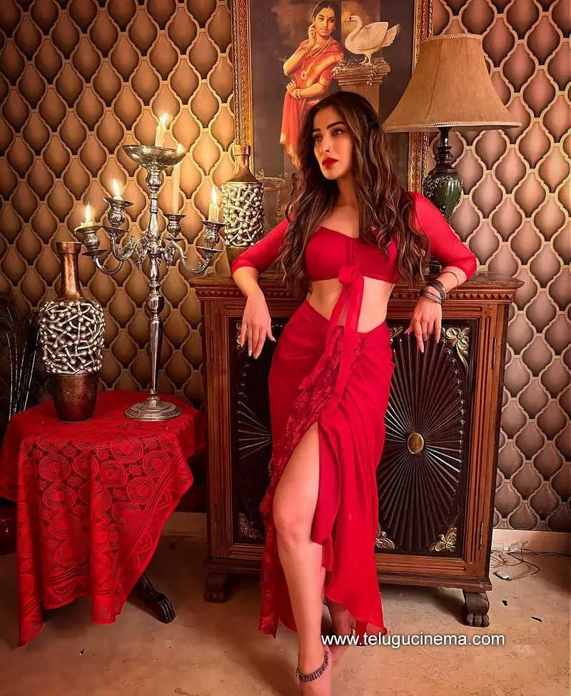 Raailaxmi Stills 240222 001