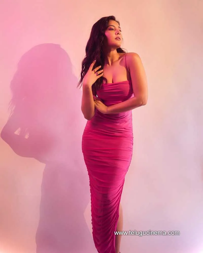 Raashikhanna Stills 150222 001 1