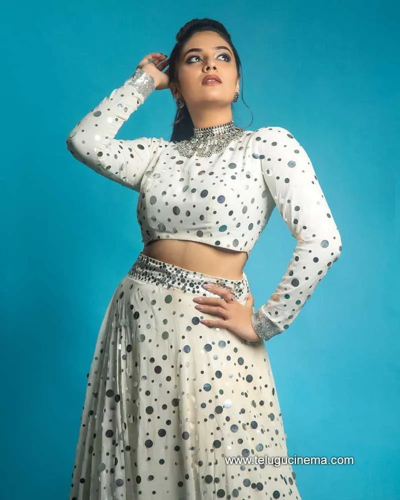 Sreemukhi Stills 160222 003