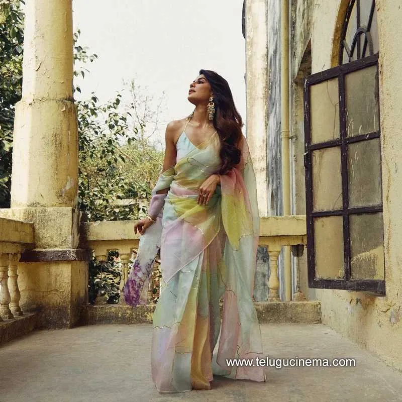 Chandini Stills 100322 003