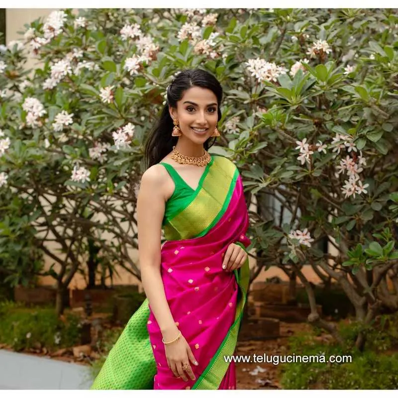Meenakshi Stills 150422 001
