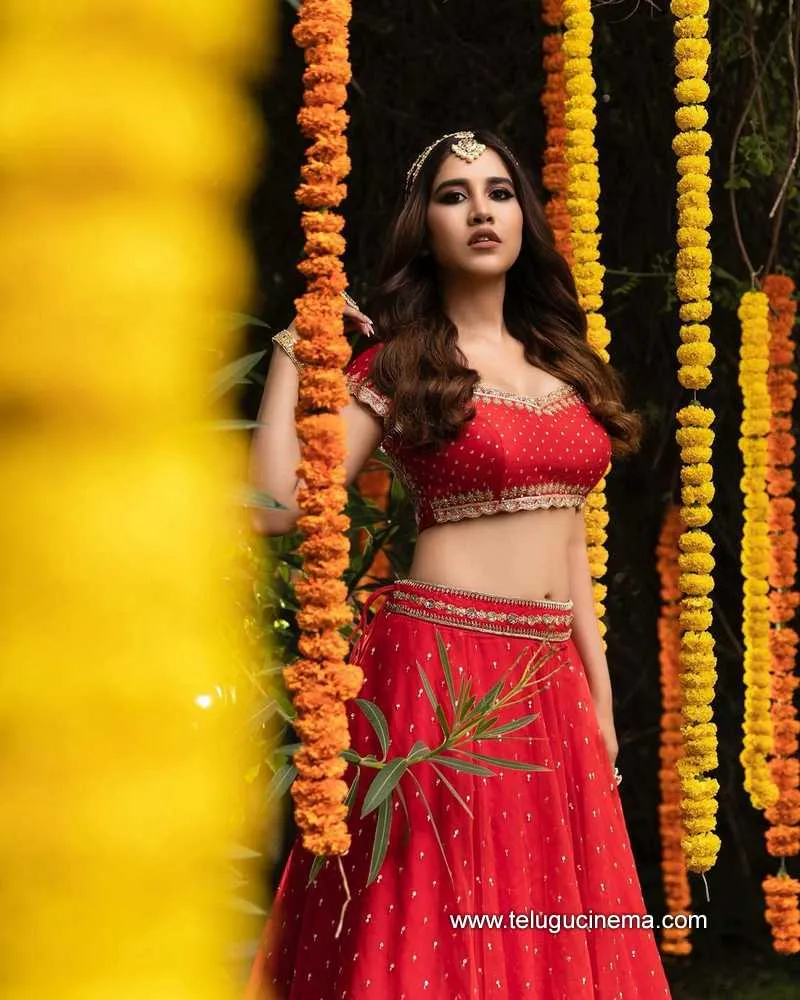 Nabhanatesh Stills 040422 003