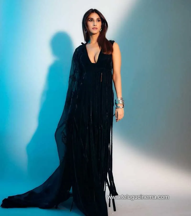 Vaanikapoor Stills 240622 002