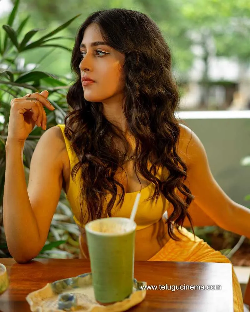 Chandini Stills 220722 005