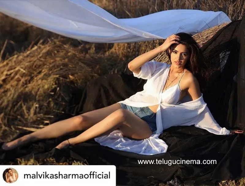 Malavika Stills 300822 002