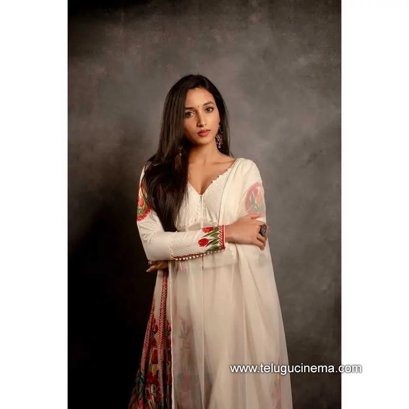 Srinidhi Stills 190922 004