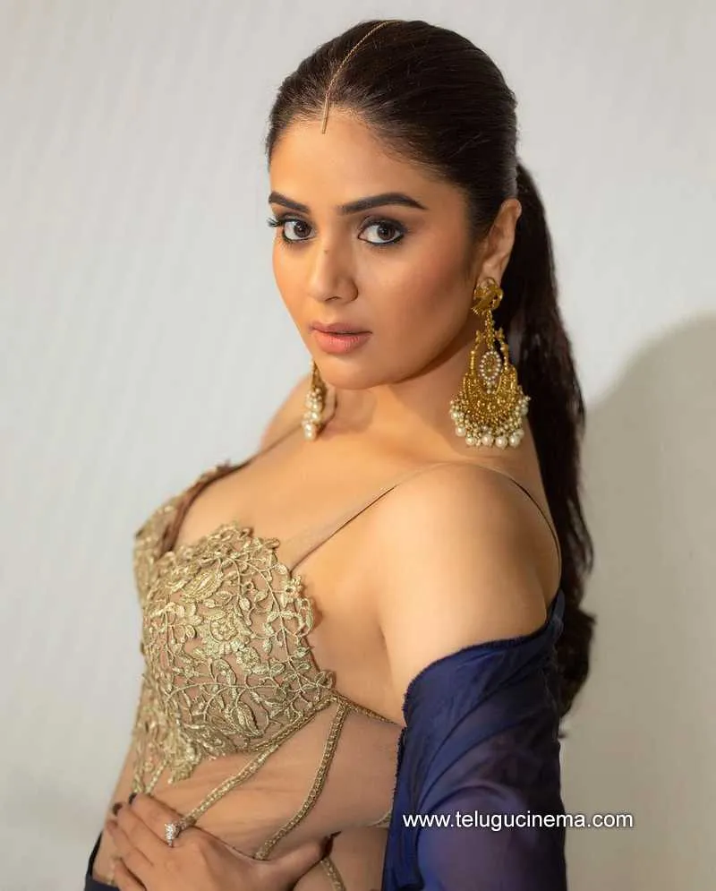 Sreemukhi Stills 11 10 22 008