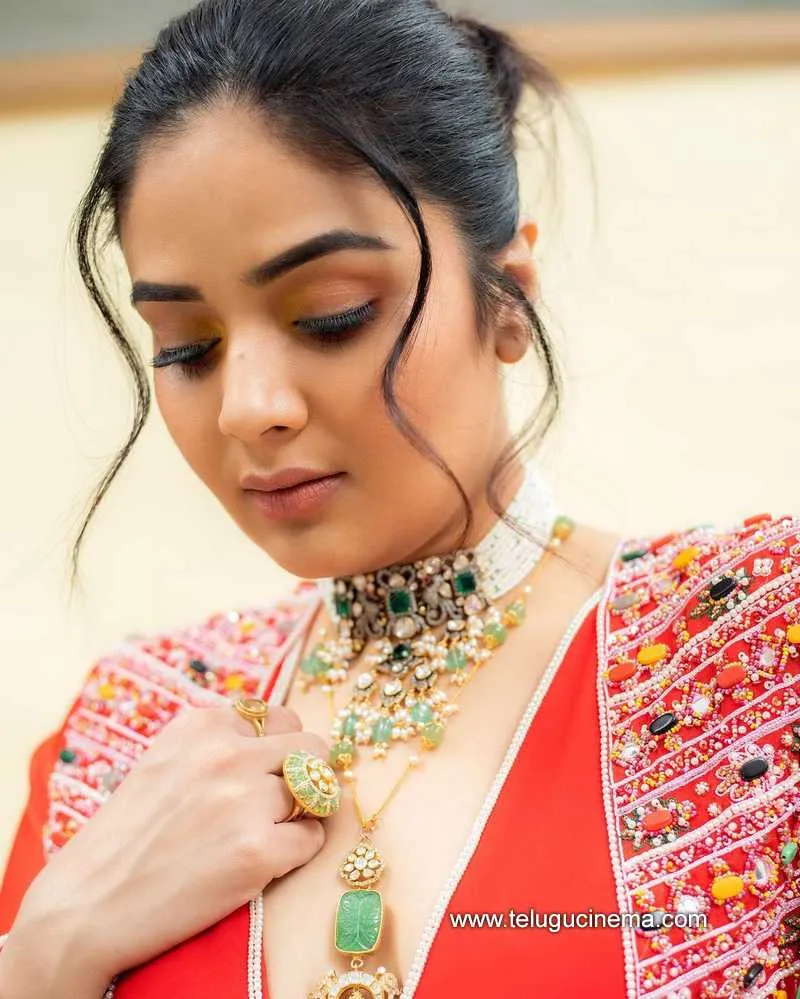 Sreemukhi Stills 14 11 22 007