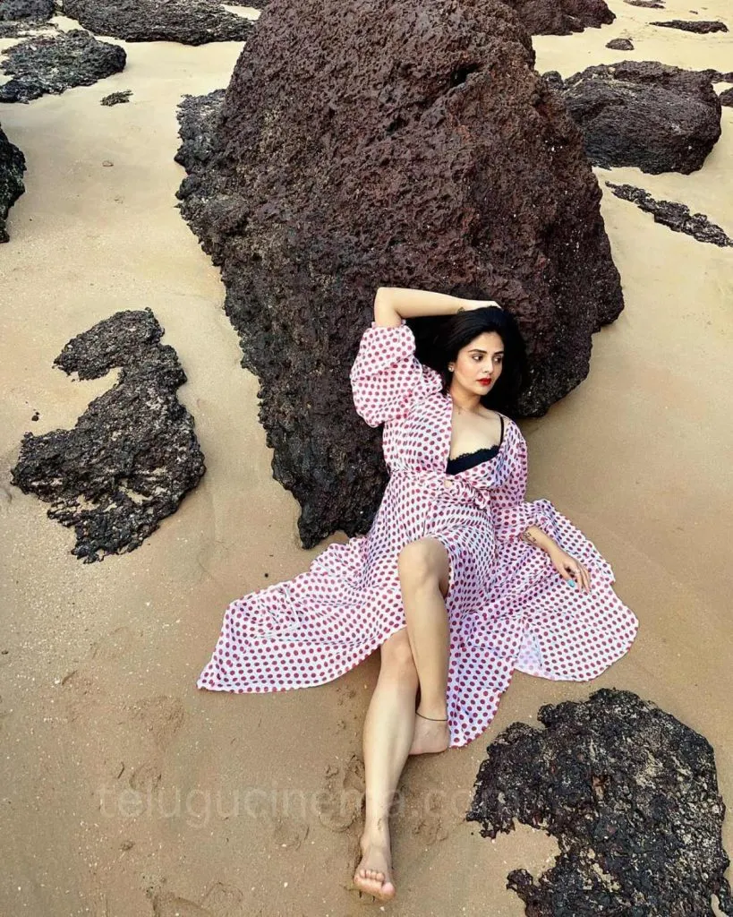 Sreemukhigoabeach 23nov6