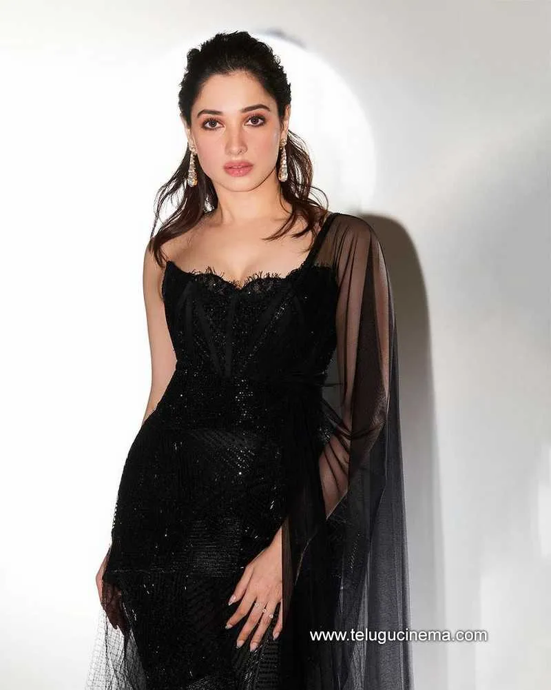 Tamannah Stills 24 11 22 001