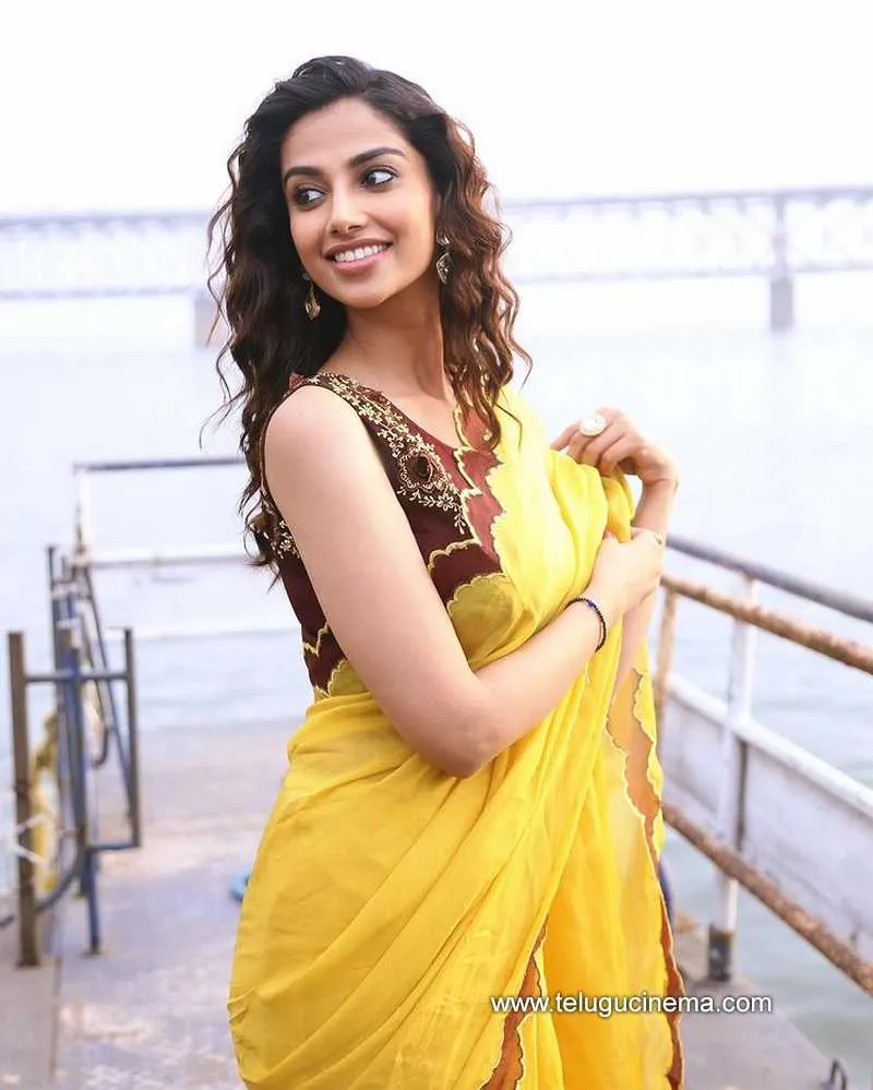 Meenakshi Stills 14 12 22 001