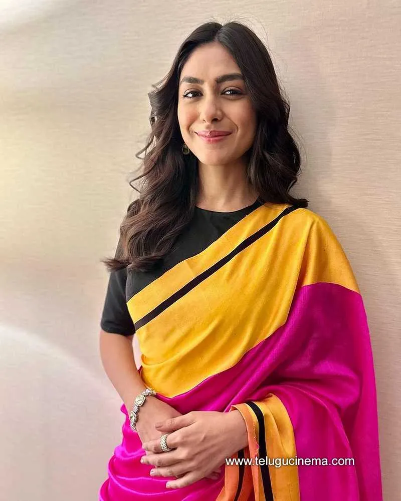 Mrunal Stills 30 12 22 004