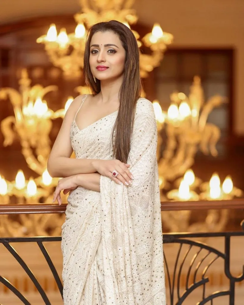 Trisha Politicalnew