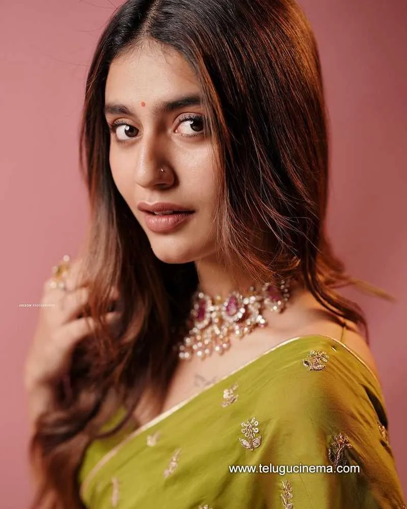 Priyaprakash Stills 040223 003
