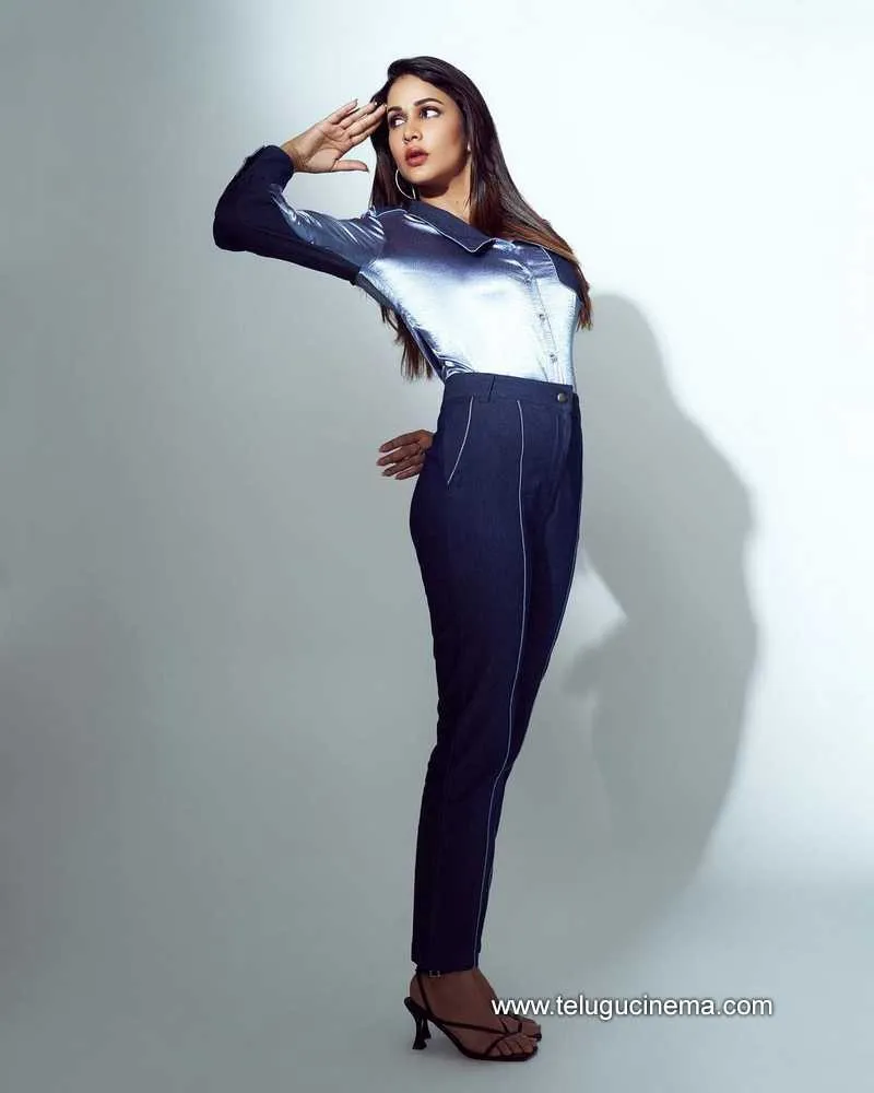 Lavanya Stills 160323 001