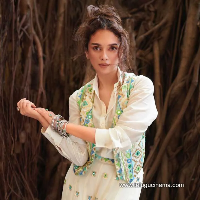 Aditirao Stills 280823 001