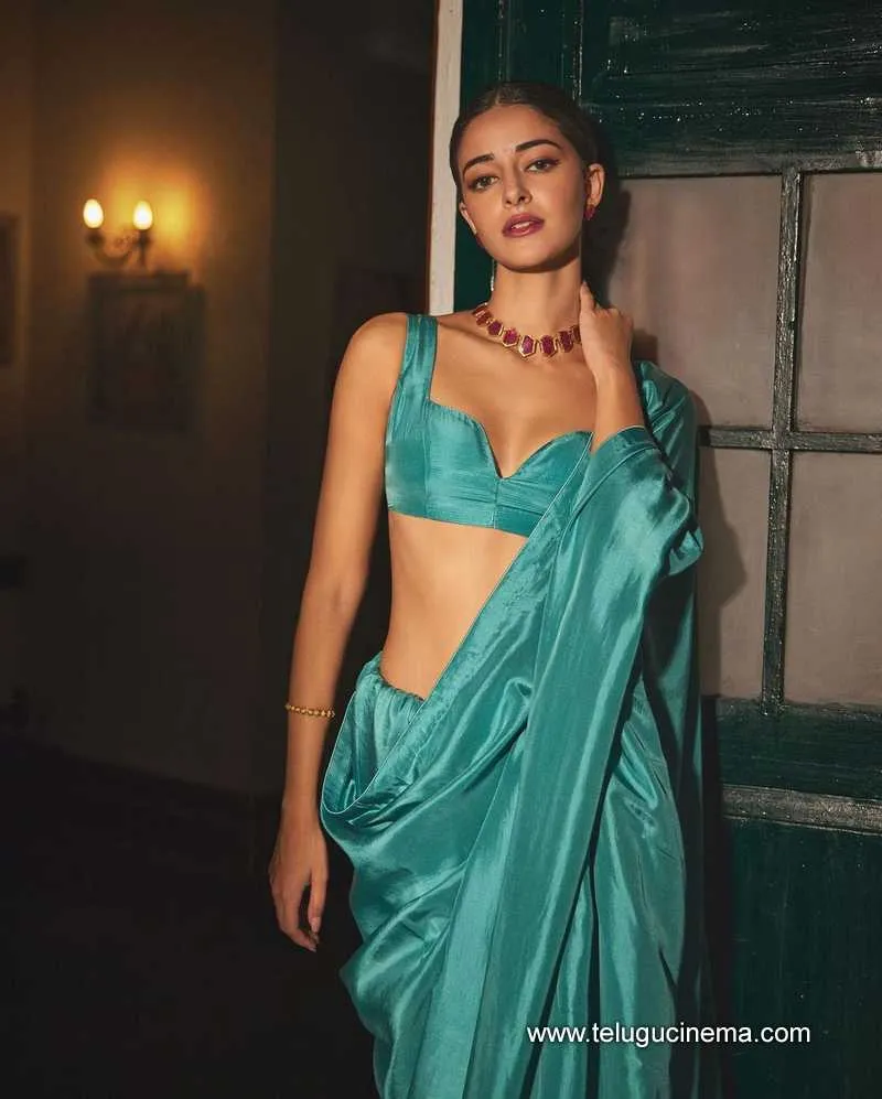 Ananyapanday Stills 14823 002