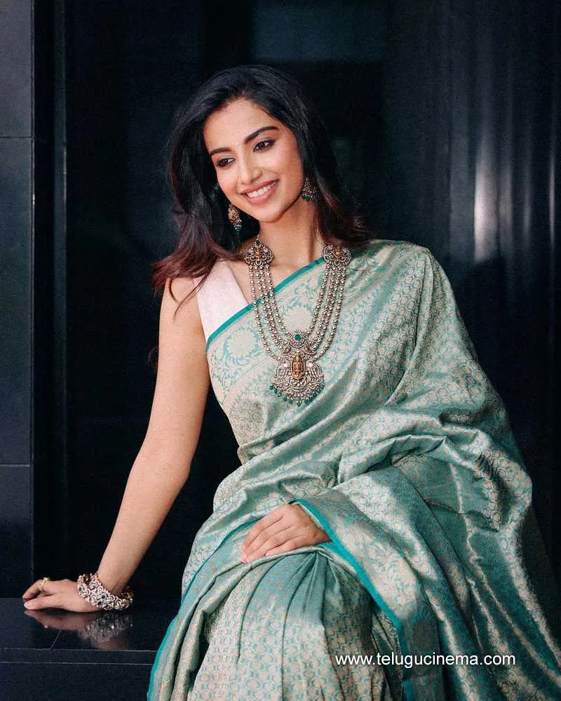 Meenakshi Stills121023 001