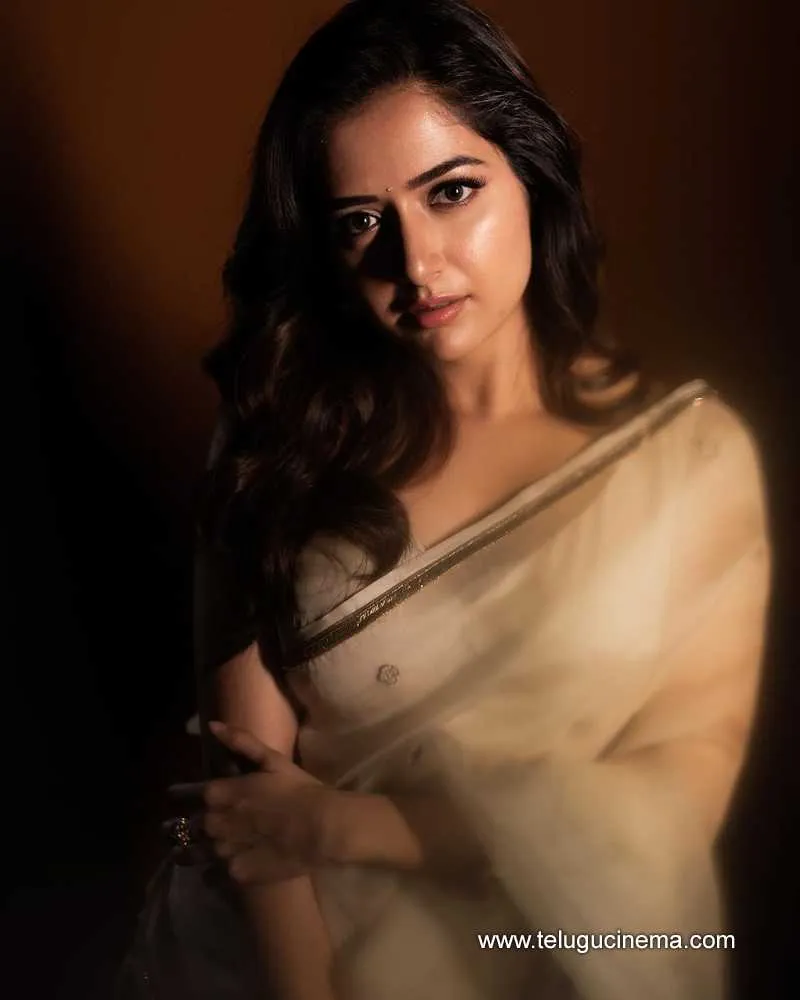 Ankitha Stills 111123 001