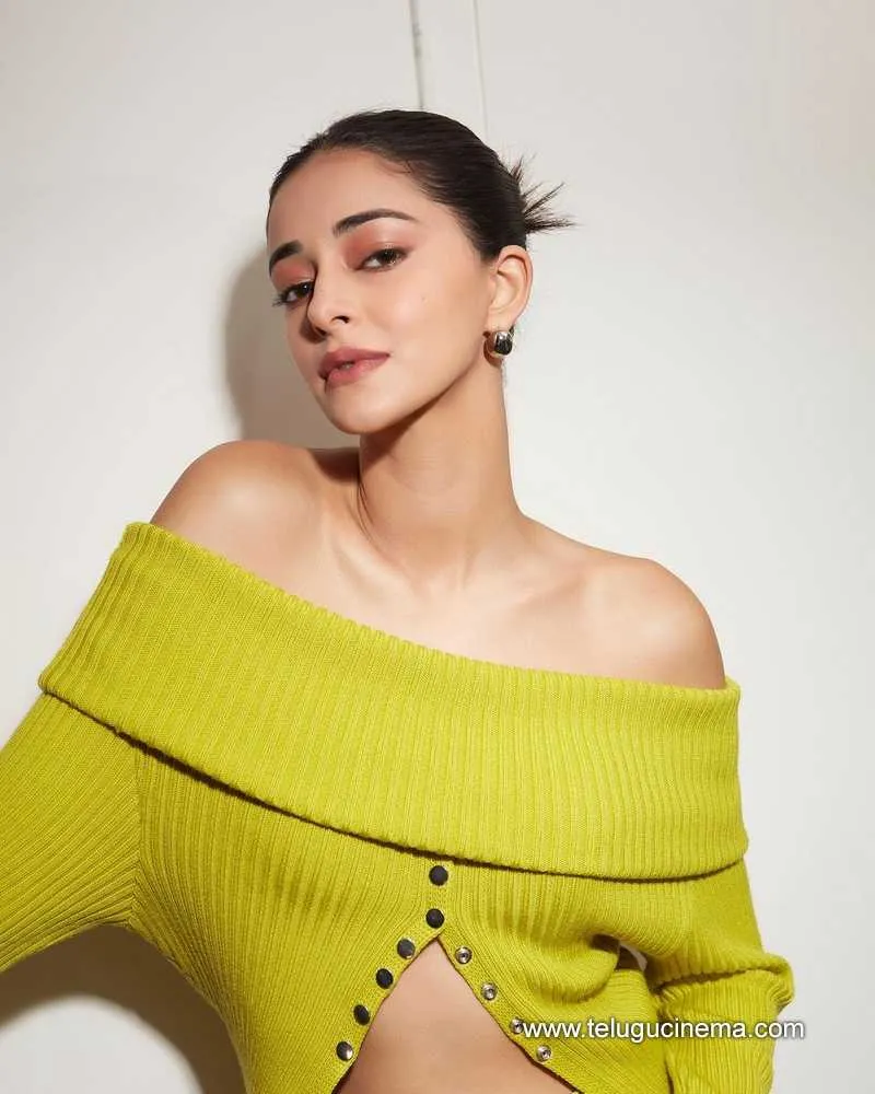 Ananyapanday Stills 13223 004