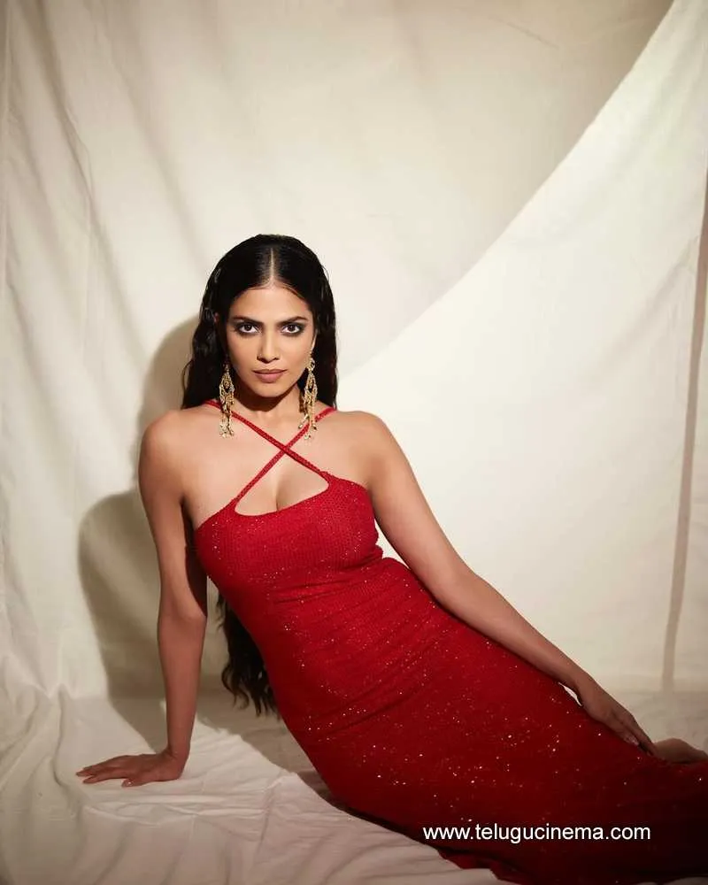 Malavika Stills 19223 001
