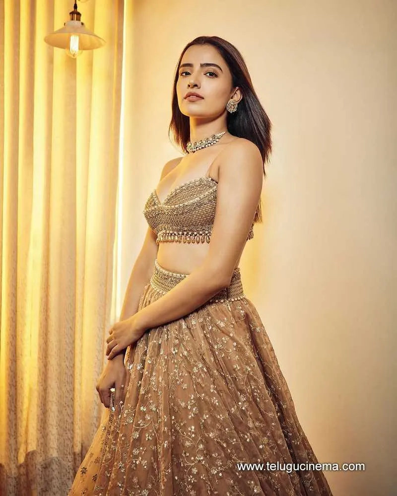 Rukshar Stills 16223 001