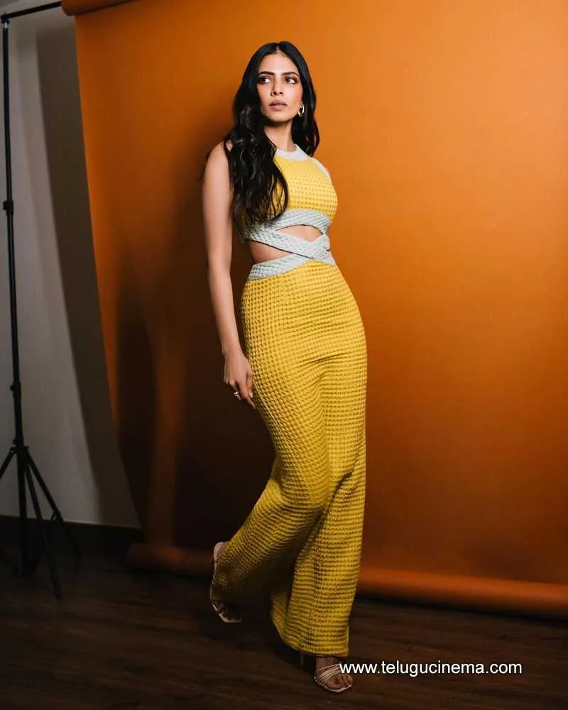 Malavika Stills 300124 001