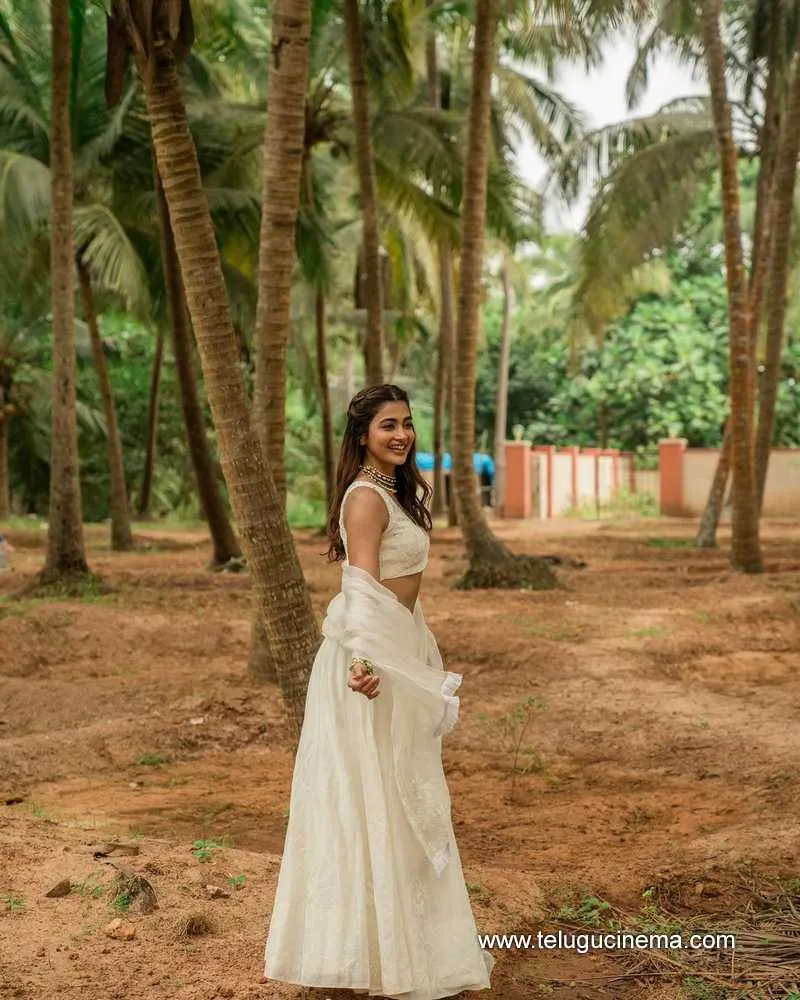 Pooja Stills 080124 001