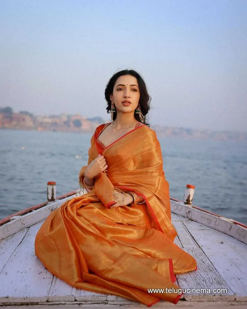 Nehashetty Stills 28022400000001