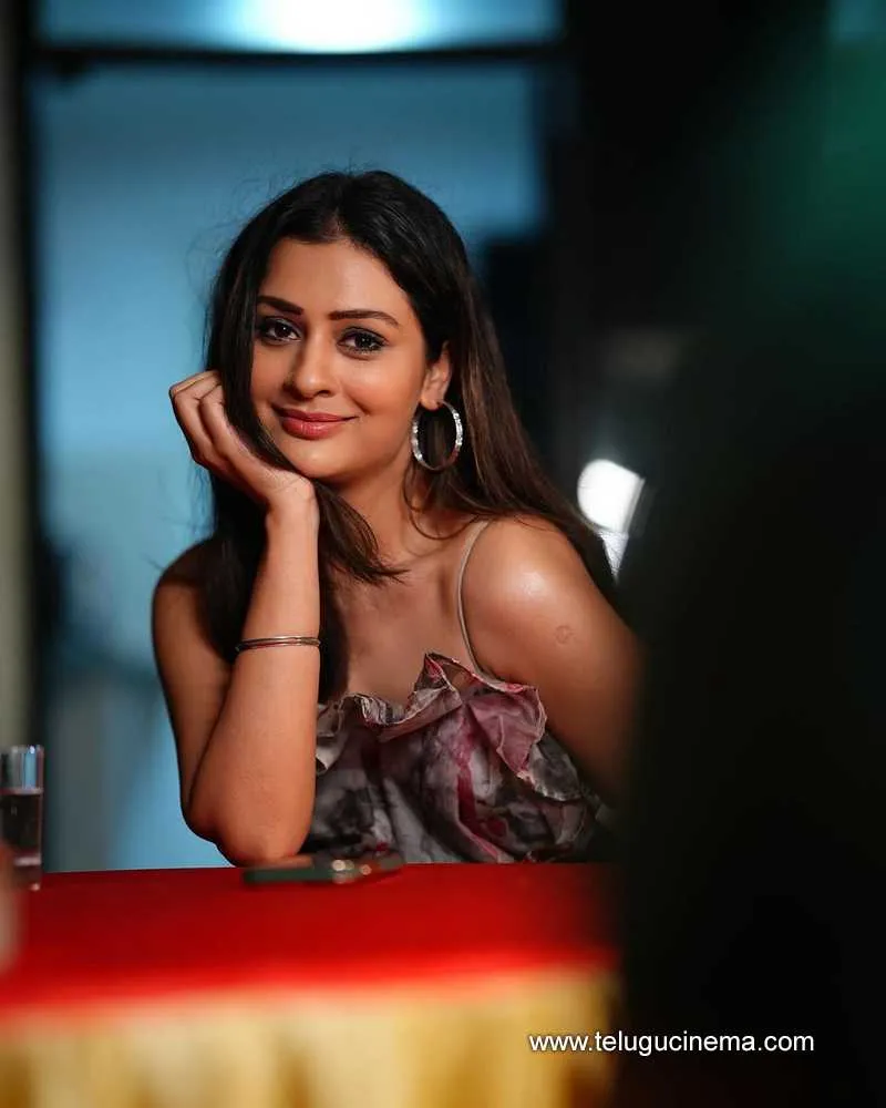 Payalrajput Stills 07022400000001