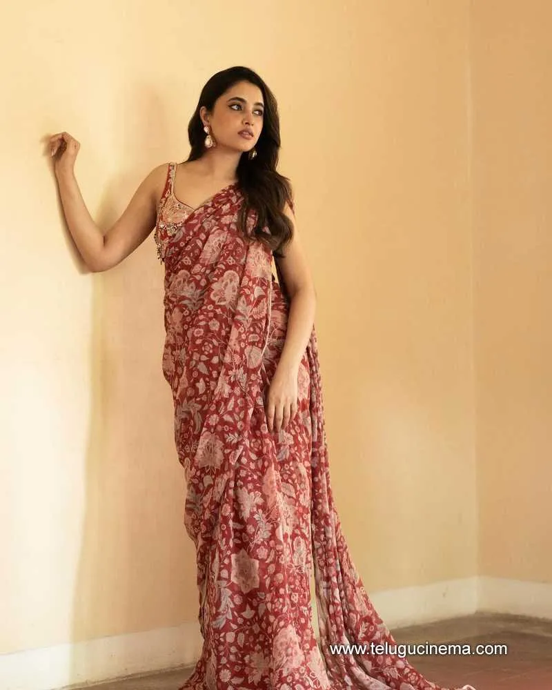 Priyanka Stills 21022400000001